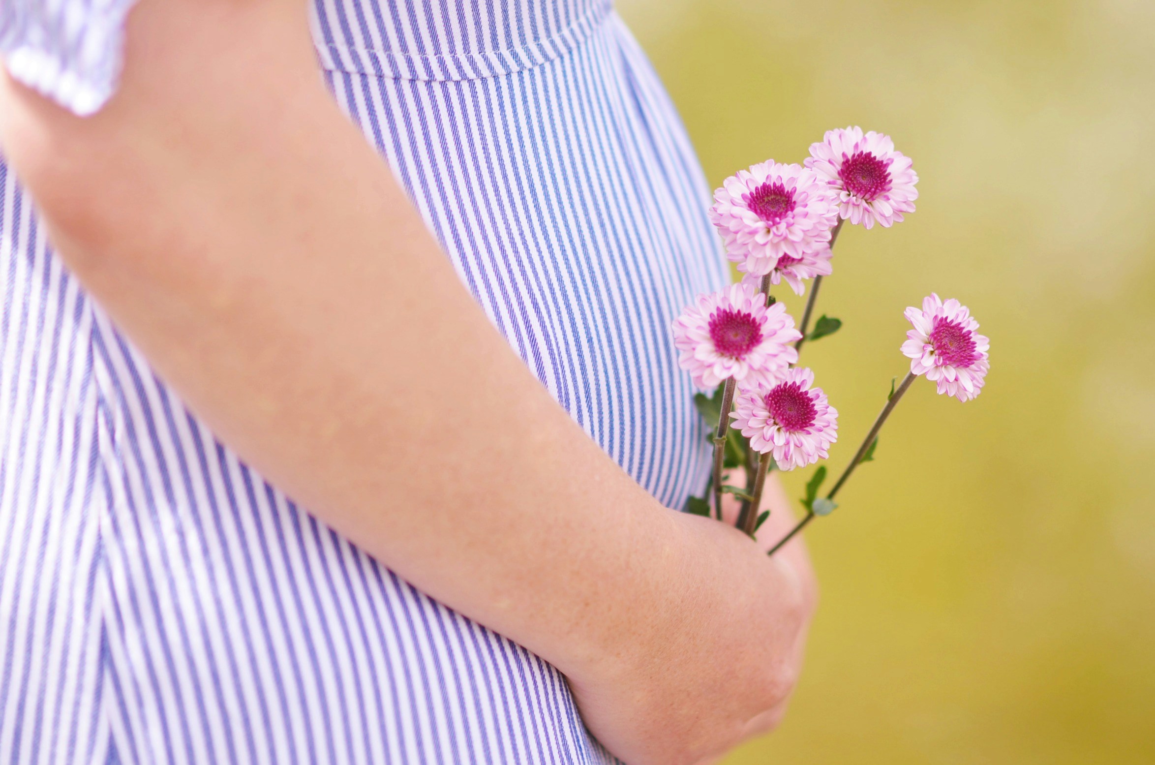 Close crop of a pregnant belly in a striped dress, hand holding a small bouquet of pink flowers.